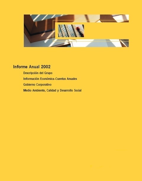 Integrated Annual Report 2002