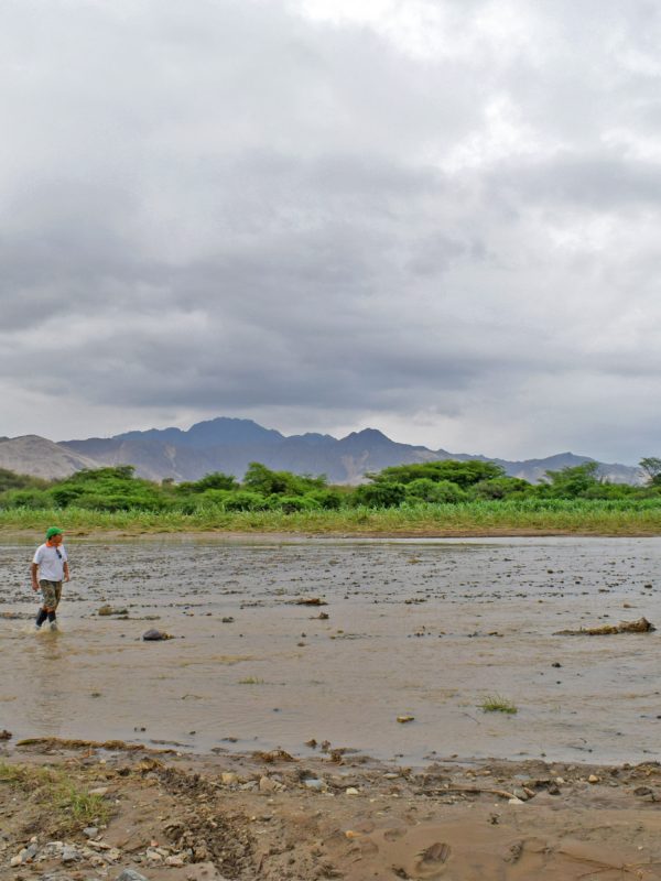 el niño costero en perú cambio climático